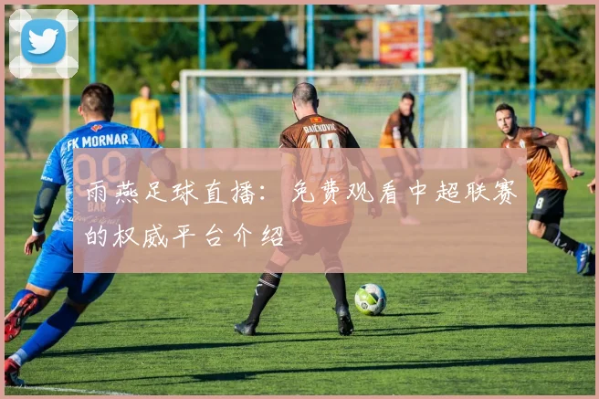 雨燕足球直播：免费观看中超联赛的权威平台介绍