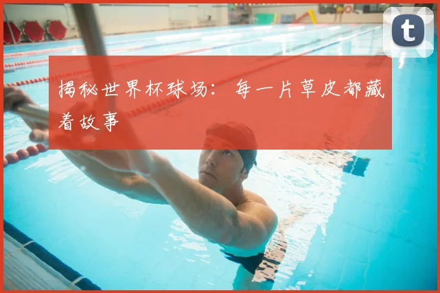 揭秘世界杯球场:每一片草皮都藏着故事