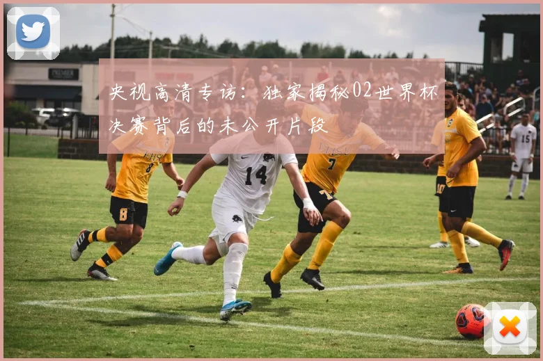 央视高清专访：独家揭秘02世界杯决赛背后的未公开片段
