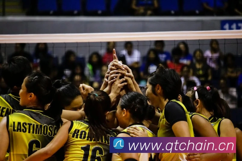 App Interface Preview